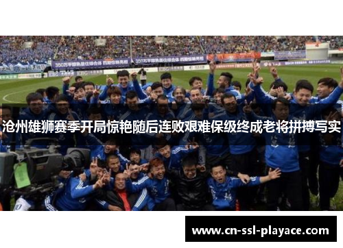 沧州雄狮赛季开局惊艳随后连败艰难保级终成老将拼搏写实